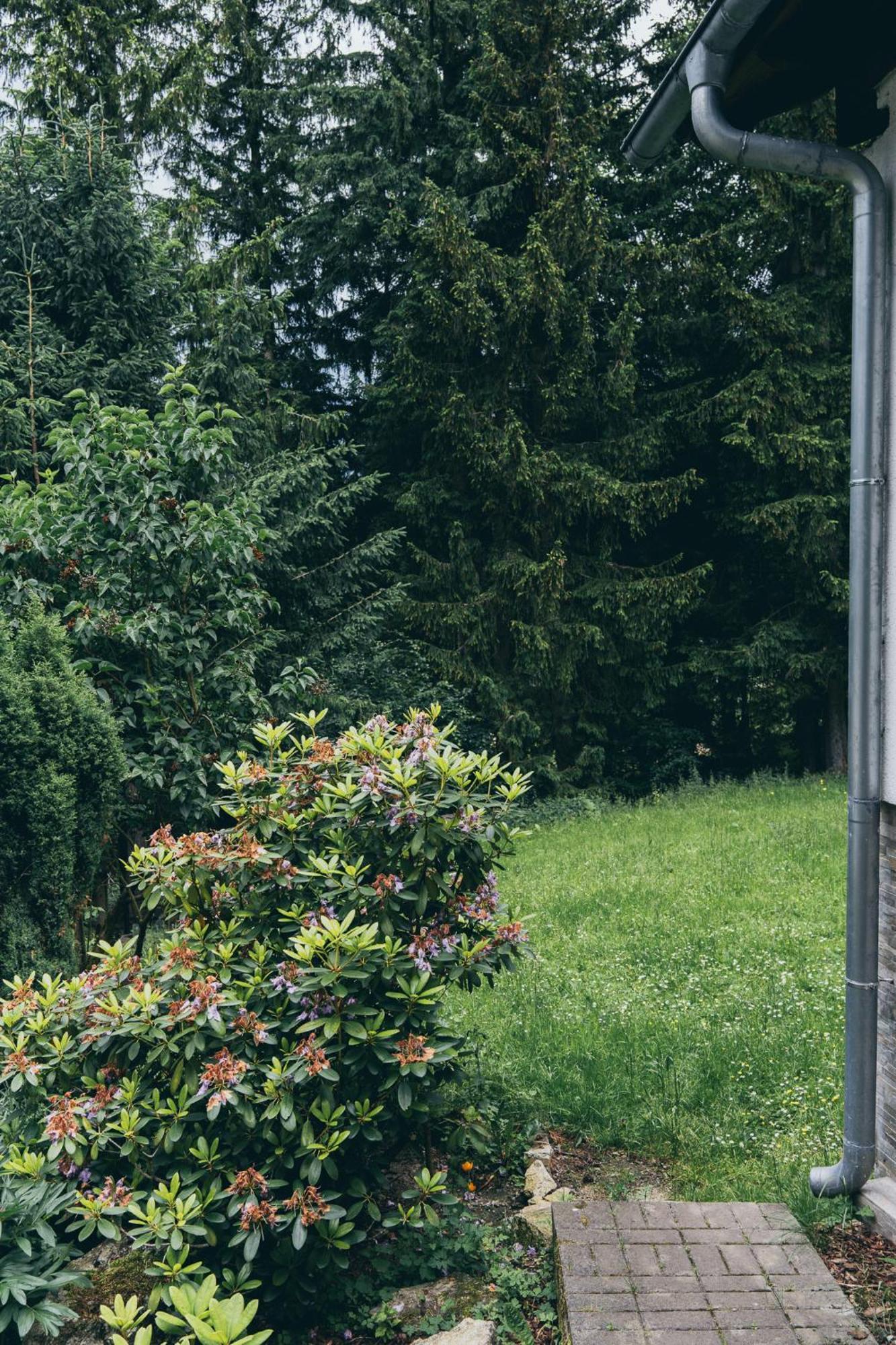 Apartament Chopina 43 Karpacz Zewnętrze zdjęcie